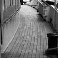 DSC_8379.jpg